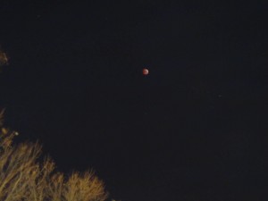 Lunar Eclipse